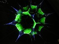 IW01_pic2_s.jpg