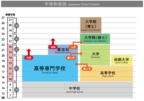 学校制度図