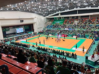 試合中の様子
