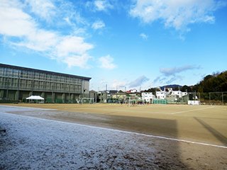 陰には霜が残っています