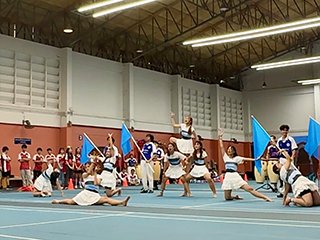 チームごとのパフォーマンスの様子