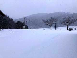 イベントを行う予定の広場