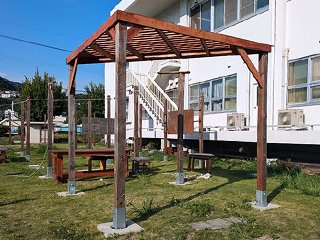 シコウノバの屋根