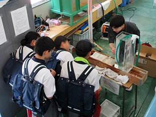 水の実験の様子
