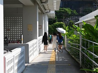 那覇市庁舎の外構の見学