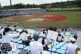 野球応援