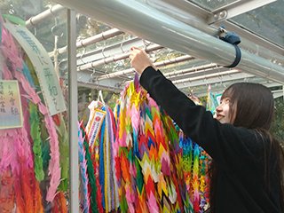 折鶴奉納の様子