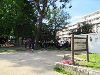 ホテル近くの公園でストレッチです