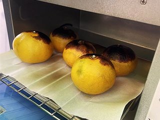 アイスにのせる焼きみかん