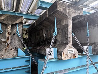 塩害被害の様子（実物）