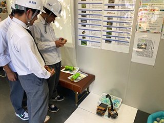 ふれあい広場での体験